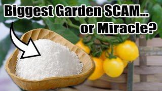 Hidden Dangers of EPSOM SALT in the Garden