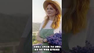 이달의 추천여행지 #shorts