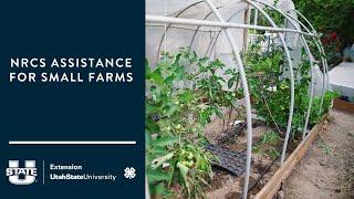 NRCS Assistance for Small Farms