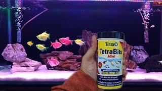 World's Best Fish Food Tetra Presents Tetra Mini for Small Aquarium Fish