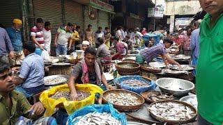 Wondrous Fish Market | Biggest Fish Market In Old Dhaka Bangladesh