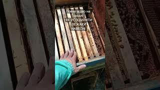 КАК РАСШИРИТЬ ЛЕЖАК ВЕСНОЙ #пчелы #пчеловодство #пчеловодство #расширение