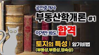 공인중개사 공부방법 - 이거만 봐도 합격! 부동산학개론#1- 토지의 특성 (부동성,부증성,영속성) 암기방법