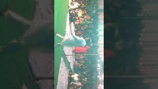 Live Show By Sur Sangram Musical Group Contact For Live Show