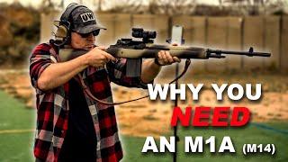 Why you NEED an M1A