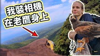 [ENG SUB] I Pet Hawk For One Day! Breathtaking Eagle POV Flying Over Mountain Range