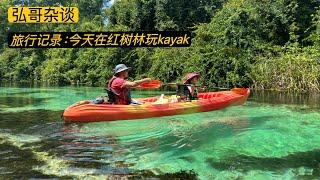 旅行记录：Kayak是一种美景相伴的运动，美国佛罗里达州的热带树林，清澈的河水。