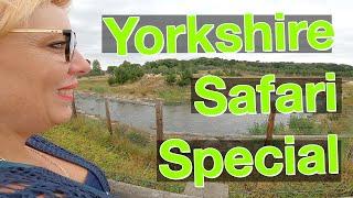 Yorkshire Safari Special