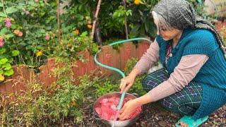 Routine life of a country women in IRAN : shopping at the Fish market and cooking with Fish