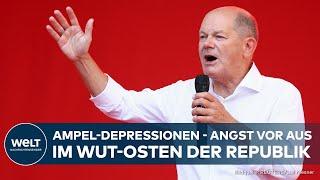 AMPEL AN ALLEM SCHULD? APO droht - Bundespolitik zermalmt Landtagswahlkampf von SPD, Grünen und FDP