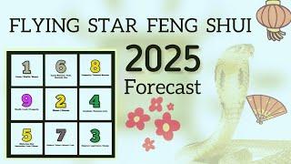 2025 FLYING STAR FENG SHUI FORECAST ⭐️