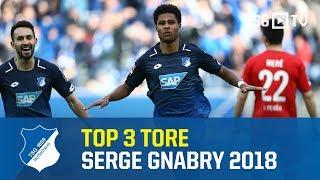 TSG Hoffenheim - Top 3 Goals Serge Gnabry 2018