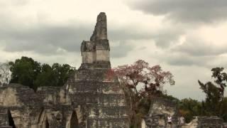 Tikal, Guatemala. Тикал, Гватемала (1234sp)