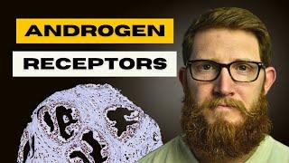 Androgen Receptors | How To Increase Your Response To Testosterone