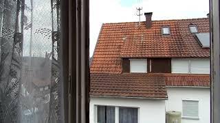 Sanierung Siedlungshaus 50 Jahre Dach Fenster Bad Balkon, Kosten, Tipps vom Baugutachter Schmalfuß