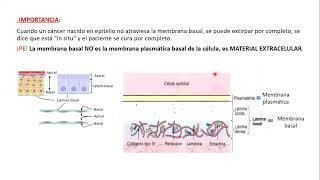 14-09-2024 - CLASE 08 - BIOLOGIA - MEDICINA Y KINESIOLOGIA UNC - NOVIEMBRE 2024