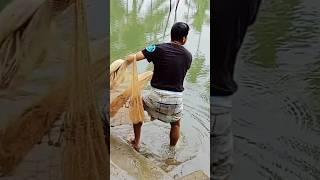 village boy net fishing amazing wow #shorts #fishing #abdulsamifishing