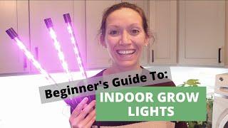 The BEST Grow Lights for Seedlings | Starting Seeds Indoors