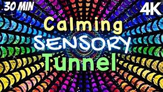 Autism Calming Music Engaging Light Tunnel