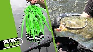 Klopfen auf Wels - Fangrausch mit dem Rattle Teaser  - #fishing #angeln