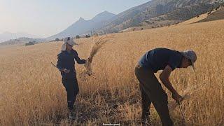 Life in the mountains: two little boys live alone in the mountains