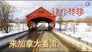 冬季我们来看雪！2023年是大雪的一年，加拿大处处是冰雪的童话世界。一定不要错过啊！