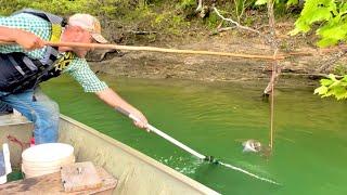 LIMB LINES! (How to catch catfish using trees!