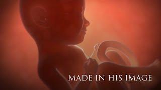 Made in His Image 1: The Miracle of Birth