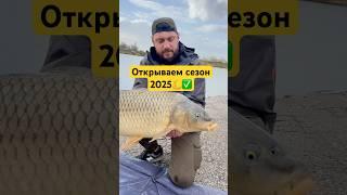 Сезон 2025 открыт #карп #fishing #рыба #рыбалка #флэтфидер #сазан #flatfeeder