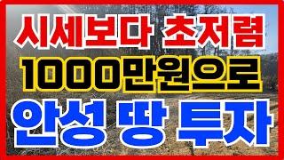 시세보다 초저렴하게 드려요 1000만원 안성 땅 투자  010-3391-6663