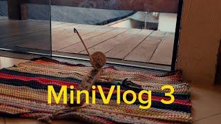 MiniVlog| Reflexões, Dia dos Namorados, Amizade, SparDay/glowup, Mais amor por favor|