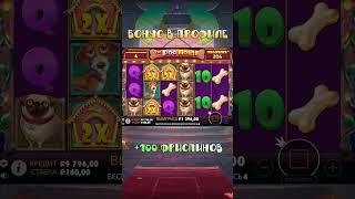 Купил бонуску и словил занос #бонуска #slot #занос #заносынедели #казино #казиноонлайн