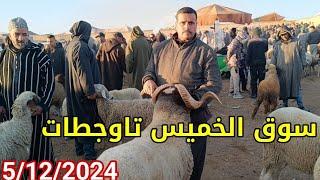 مباشرة من الخميس تاوجطات 5/12/2024 أثمنة الخروف الكسابي والنعجة وخروفة وحولي ماعز فرجة ممتعة