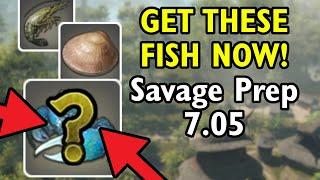 Most important fish in FF14 Dawntrail for 7.05