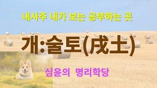 시작하는 사주명리 지지편 "술토(戌土)" 내사주 내가 보는 공부하는 곳 #사주팔자 #사주 #사주명리 #교육 #명리학 #지혜 #운세 #자기계발