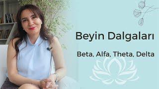 Sade düşün: Beyin Dalgaları Alfa, Beta, Theta, Delta