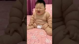 Fat Baby Laughing #laughingbaby #laugh #laughing #cute #cutebaby #shorts  #fatbaby #funny #fyp #fypシ