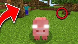 How to Tell if a MOB is POSSESSED in Minecraft!