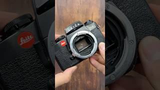 5 Gründe für die Leica R4 - 35mm analog Kamera #leica #analogkamera #fotografie