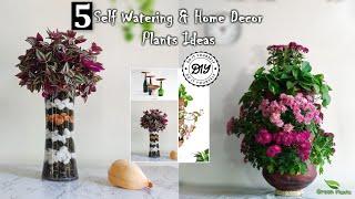 Self Watering Plants & Home Decor Plants Ideas for  Your Space with Hanging Plants//GREEN PLANTS