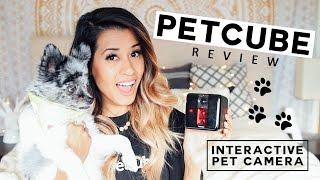 Petcube Review + GIVEAWAY! Interactive Pet Camera | Ariel Hamilton