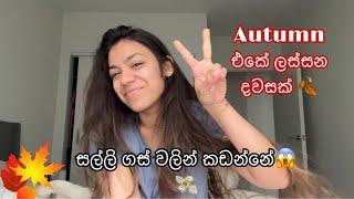 A day in our life in Autumn  | සල්ලි ගස් වලින් කඩන්නේ | Life With KC