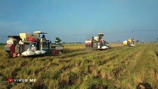 KOMBI SAWAH MEMANEN BARENG