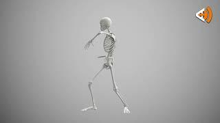 Skeleton Dance