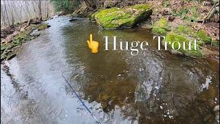 TROUT FISHING On Opening Day 2025 In PA (HUGE SURPRISE) #fishing #troutfishing #trout