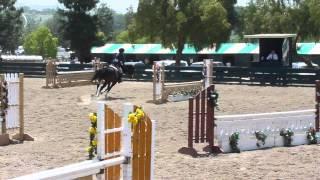 2011-2012 IEL Show Season - Show #4 Matti Schulman JV Handy Hunter