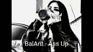 BalAnt - Ass Up