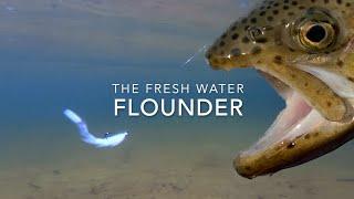 A Simple Micro Game Changer -  The Fresh Water Flounder