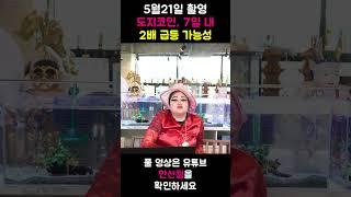 도지코인 차트분석 / 2025.05.21