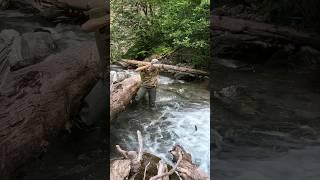 Catch & cook trout over campfire️ #bushcraft #survival #camp #campfire #outdoors #catchandcook